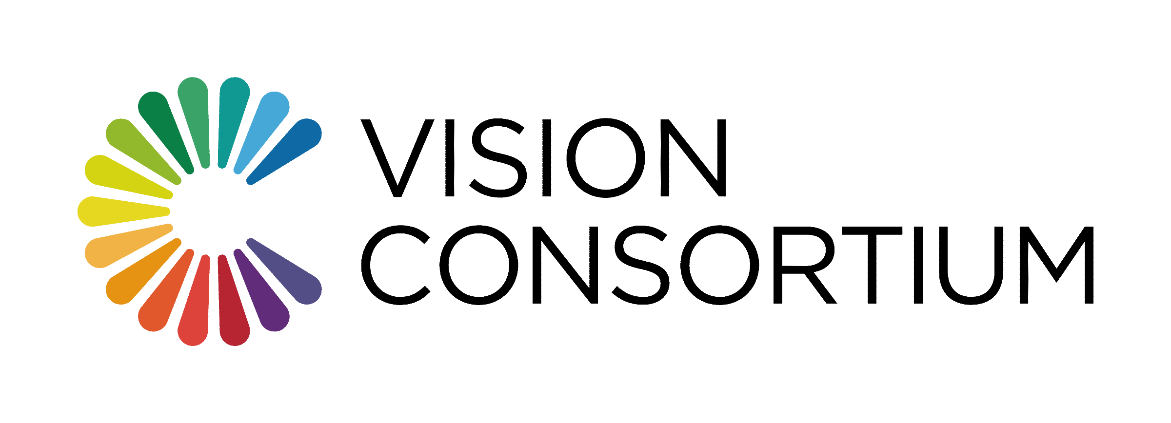 Vision Consortium のロゴ